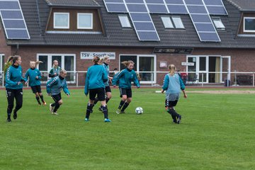 Bild 114 - Frauen TSV Sch�nberg - SV Henstedt Ulzburg 2 : Ergebnis: 2:6